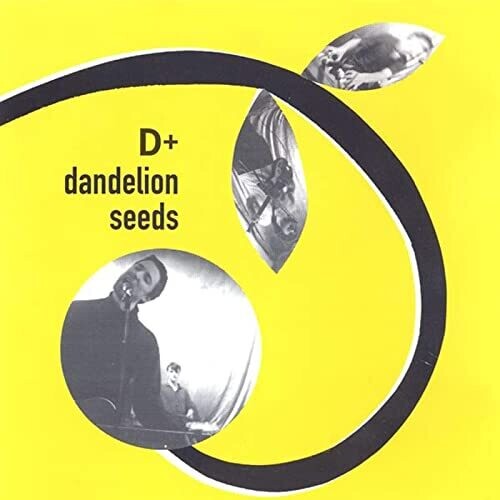 D+ - DANDELION SEEDS