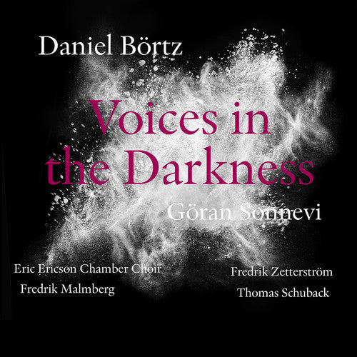 Bortz/ Sonnevi/ Malmberg/ Zetterstrom - Daniel Bortz: Voices in the Darkness