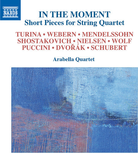 Schubert/ Dvorak/ Shostakovich - In the Moment Short Pieces for String Quartet