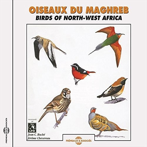Jean Roche Claude/ Jerome Chevereau - Birds of Northwest Africa