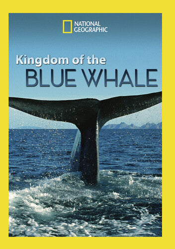 Kingdom of Blue Whale