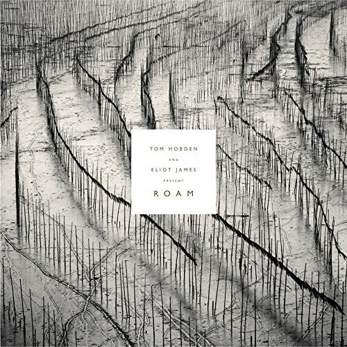 Tom Hobden / Eliot James - Present: Roam