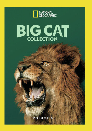 Big Cat Collection, Vol. 6