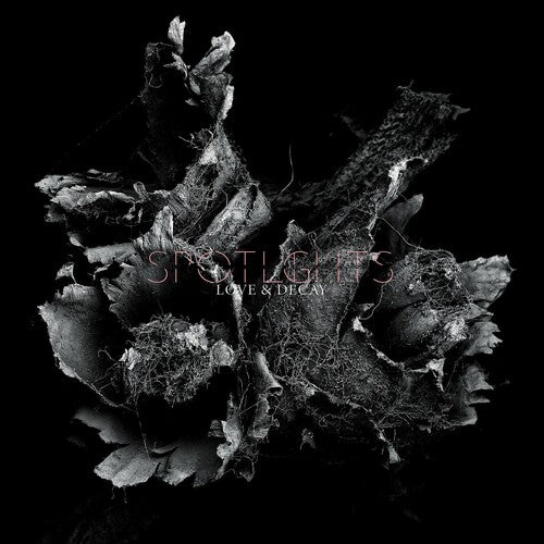 Spotlights - Love & Decay