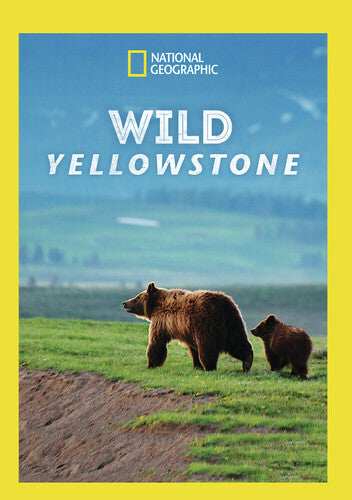 Wild Yellowstone