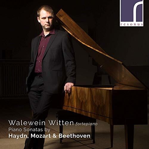 Beethoven/ Witten - Piano Sonatas