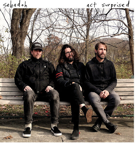 Sebadoh - Act Surprised