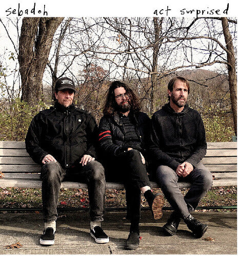 Sebadoh - Act Surprised