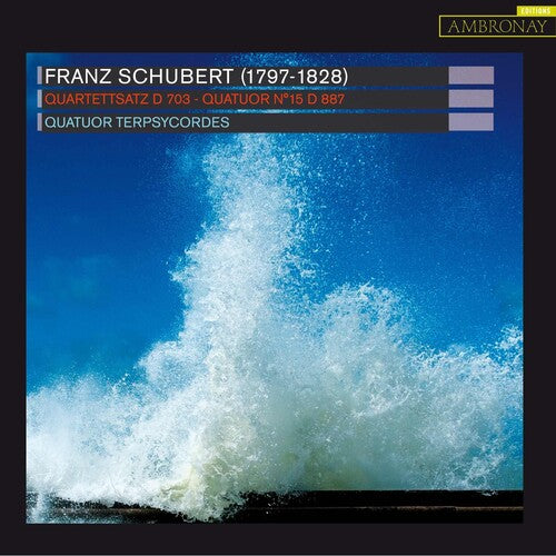 Quatuor Terpsycordes - Quartettsatz