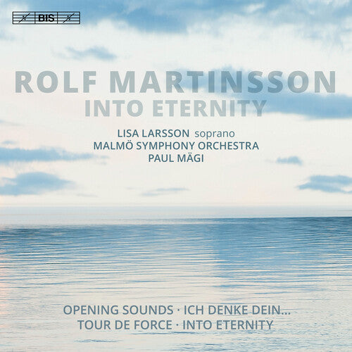Martinsson/ Larsson/ Magi - Into Eternity