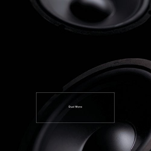 Barreca/ Leimer - Dual Mono
