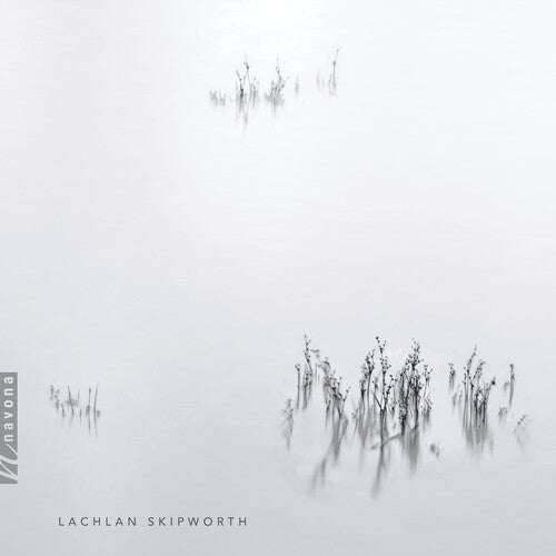 Skipworth - Clarinet Quintet / Piano Trio