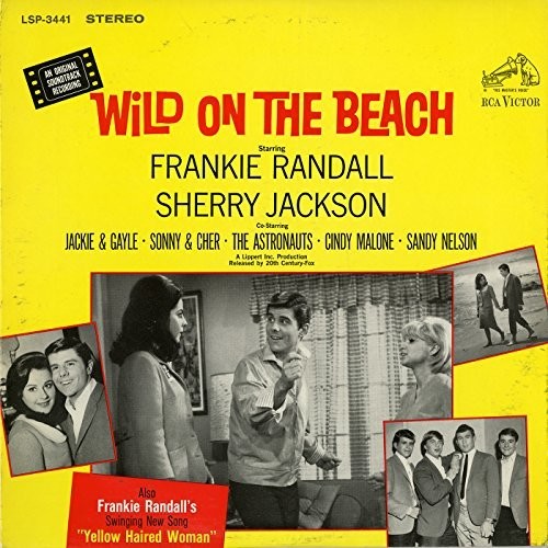 Wild on the Beach/ O.S.T. - Wild On the Beach (Original Soundtrack)