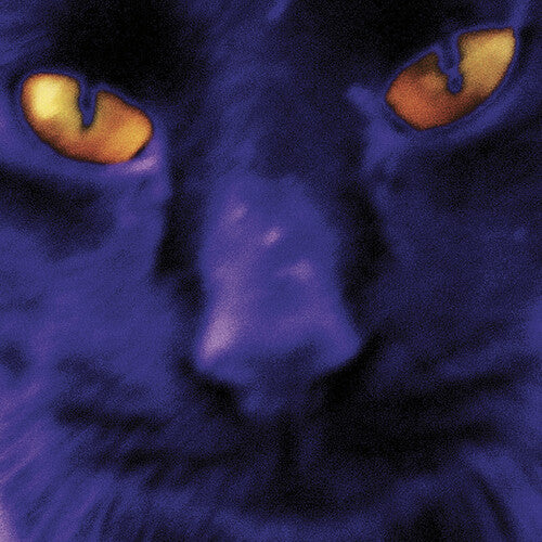 David Kilgour & the Heavy Eights - Bobbie's A Girl