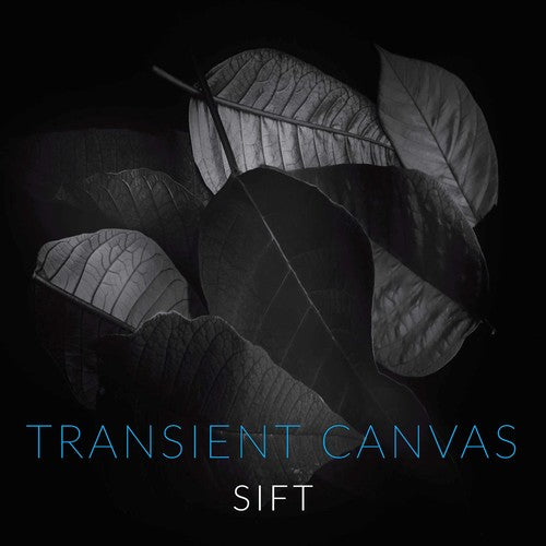 Tallon/ Canvas/ Sharrock - Sift