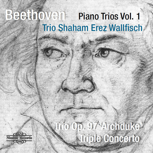 Beethoven/ Trio Shahm Erez Wallfisch - Piano Trio 1