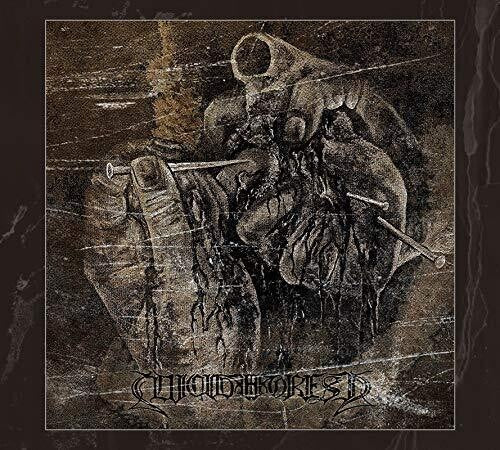 Suicide Forest - Suicide Forest