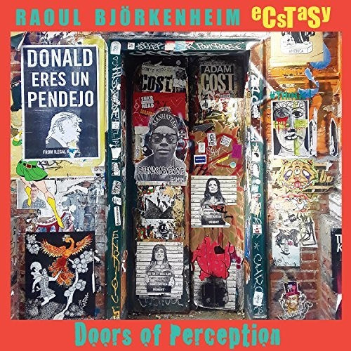 Raoul Bjorkenheim Ecstasy - Doors Of Perception