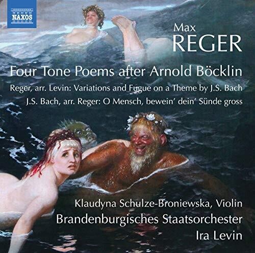 Reger/ Schulze-Broniewska/ Levin - Orchestral Works
