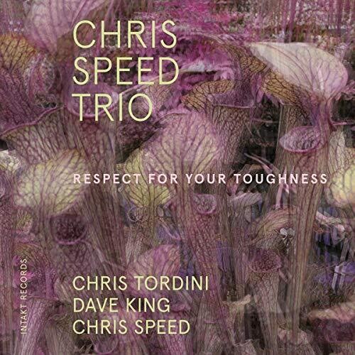 Speed/ Tordini/ King - Respect for Your Toughness