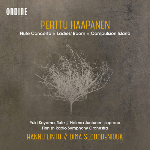Haapanen/ Koyama/ Slobodeniouk - Flute Concerto