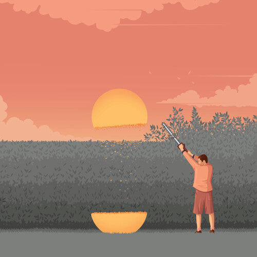 Slow Meadow - Happy Occident