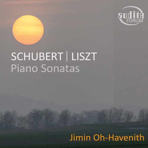 Liszt/ Oh-Havenith - Piano Sonatas