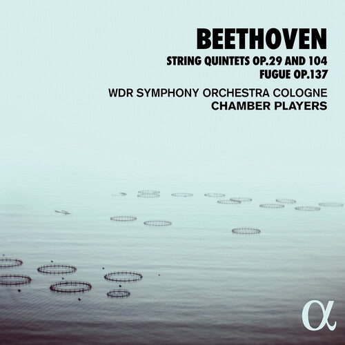 Beethoven - String Quintets 29 & 104