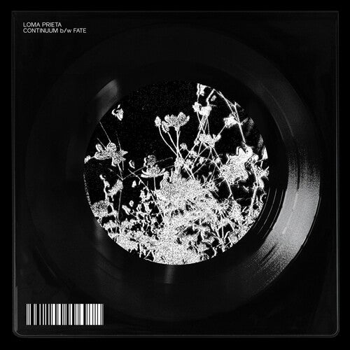 Loma Prieta - Continuum / Fate