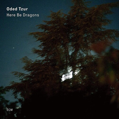 Oded Tzur / Nitai Hershkovits / Petros Klampanis - Here Be Dragons