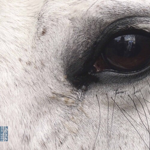 Dlugoszewski - Openings of the Eye