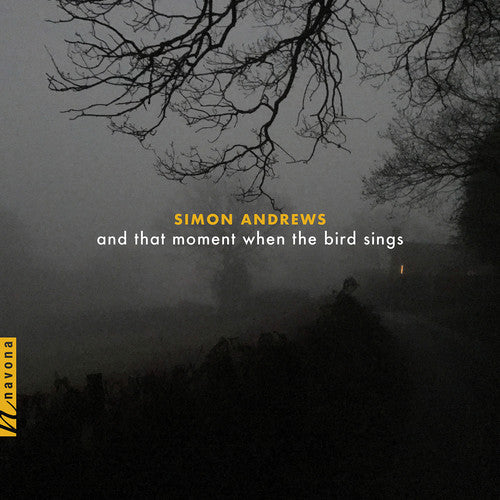 Andrews/ Maurer - & That Moment When the Bird Sings