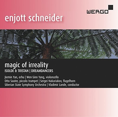 Schneider/ Yan - Magic of Irreality