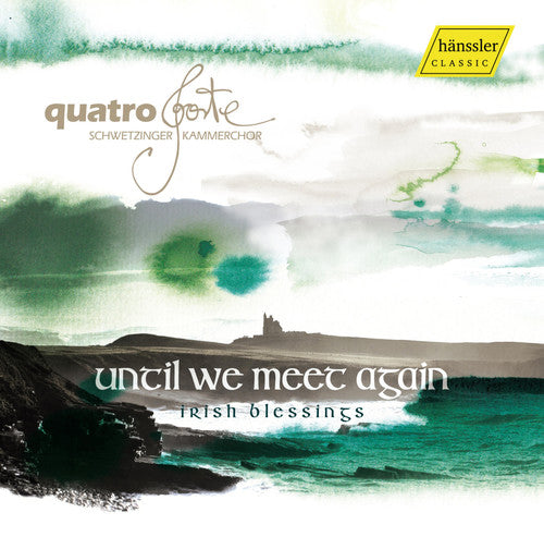 Until We Meet Again/ Various - Until We Meet Again