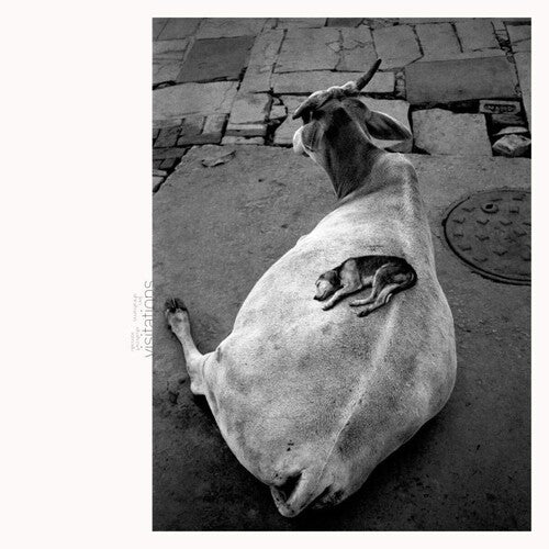 Leo Abrahams - Visitations