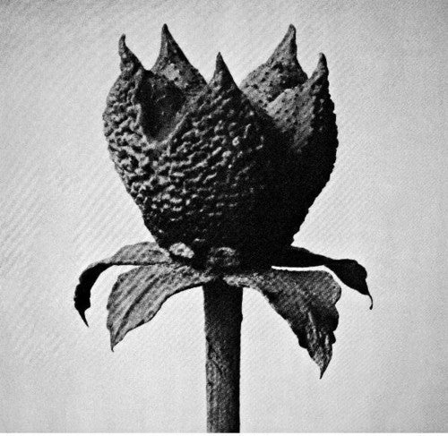 Masayoshi Fujita - Book Of Life