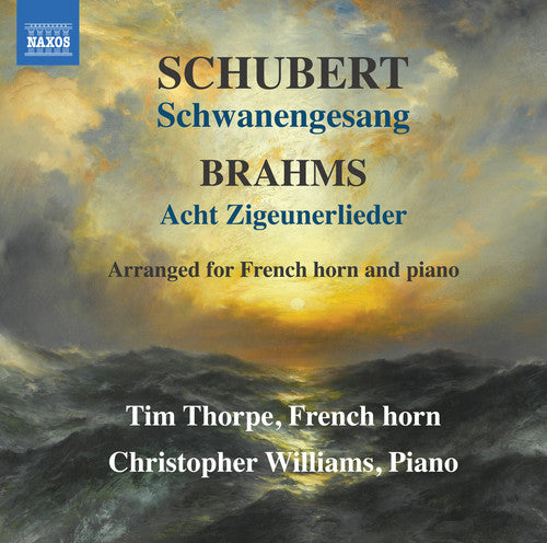 Brahms/ Shubert - Schwanengesang