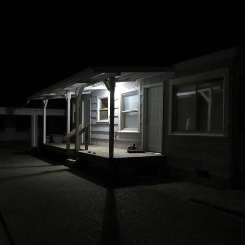 Damien Jurado - Birds Tricked Into The Trees