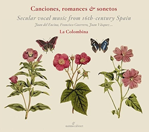 Vasquez/ Colombina - Colombina