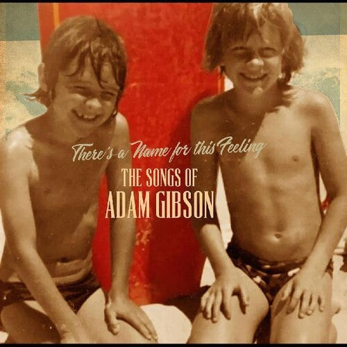 Adam Gibson - Songs Of Adam Gibson