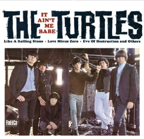 The Turtles - It Ain't Me Babe