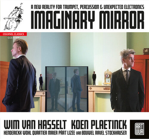 Wim Hasselt / Koen Plaetinck - Imaginary Mirror