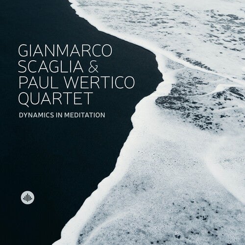 Scaglia Paul Wertico Quartet - Dynamics in Meditation