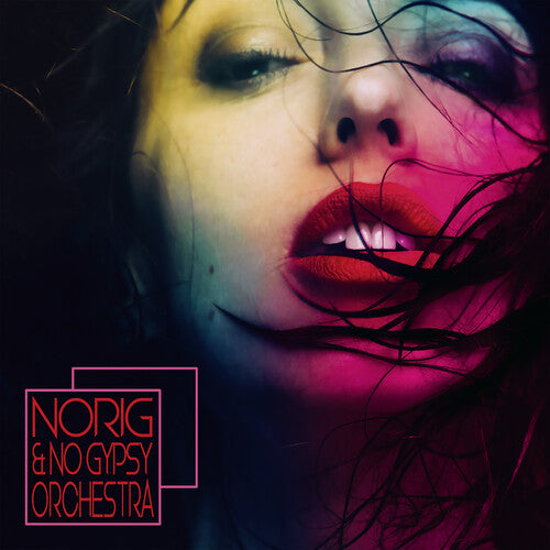 Norig & No Gypsy Orchestra - Norig & No Gypsy Orchestra