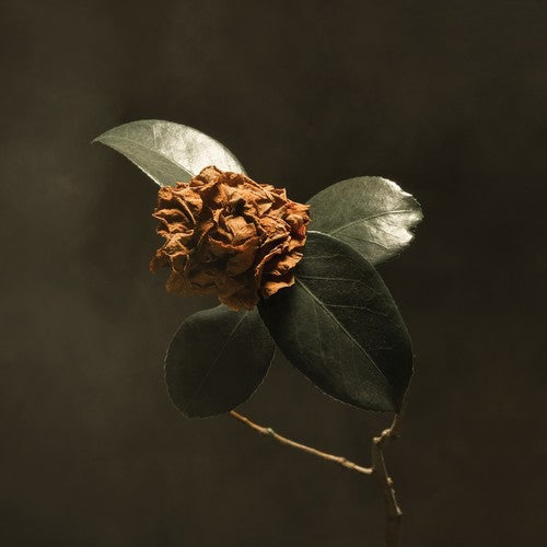 St Paul & the Broken Bones - Young Sick Camellia