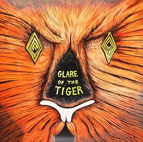 Adam Rudolph Moving Pictures - Glare of the Tiger