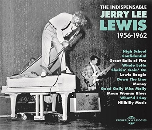 Indispensable/ Various - Indispensable