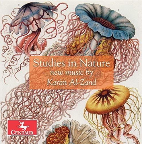 Al-Zand/ Roitstein/ Hauschildt - Studies in Nature