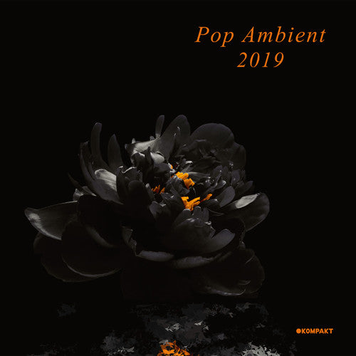 Pop Ambient 2019/ Various - Pop Ambient 2019 (Various Artists)
