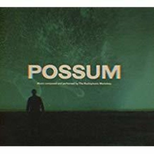 Radiophonic Workshop - Possum